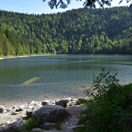 Quaint Chalet In With Sauna La Bresse