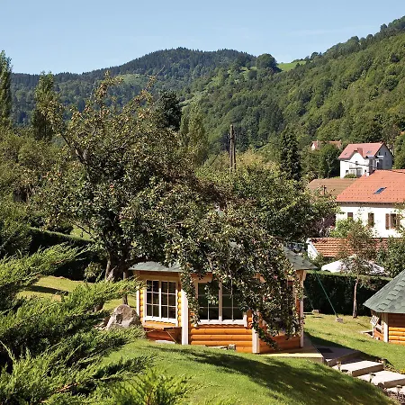 Quaint Chalet In With Sauna La Bresse